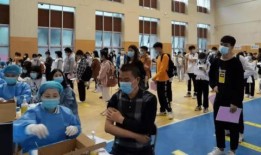 柳河爆料视频最新消息,揭秘事件真相，引发社会热议